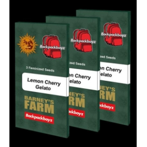 BARNEY'S FARM - LEMON CHERRY GELATO FEM